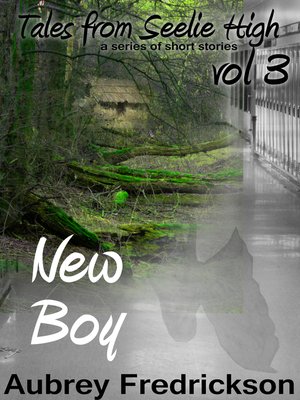 cover image of New Boy